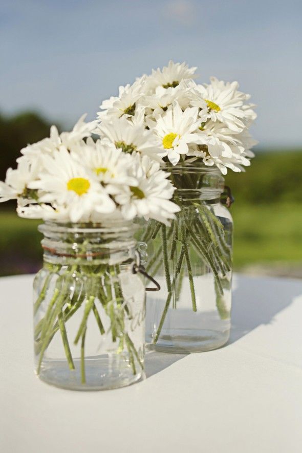 daisy-wedding-flowers