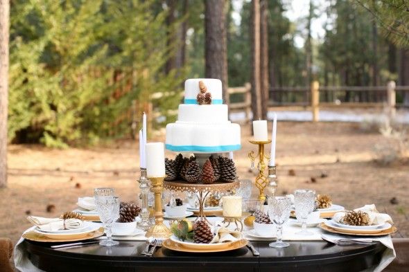 wedding-cake-with-pine-cones