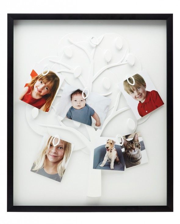 family-tree-frame