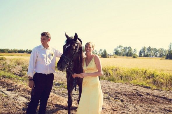 Bride & Groom With A Horse 