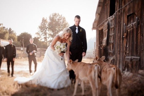 Idaho rustic farm wedding