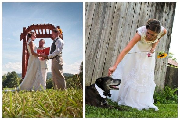 Dogs In Weddings