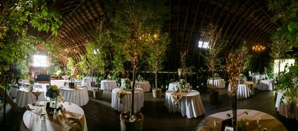 Wedding Reception With Trees Inside