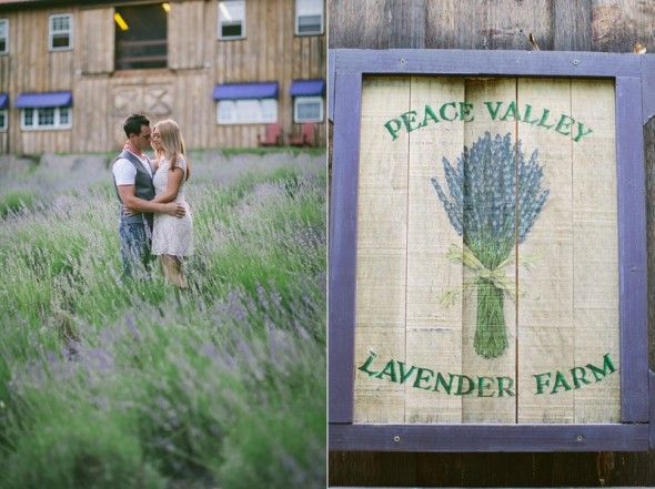 Lavender Farm Engagement Session