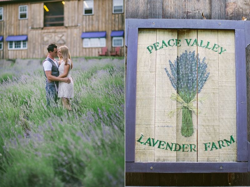 Lavender Farm Engagement Session