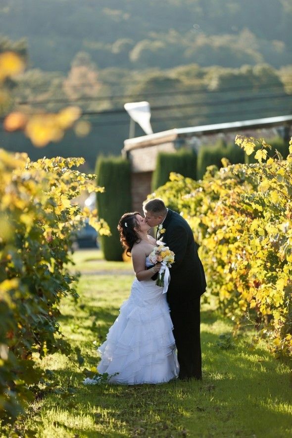 CA Vineyard Wedding