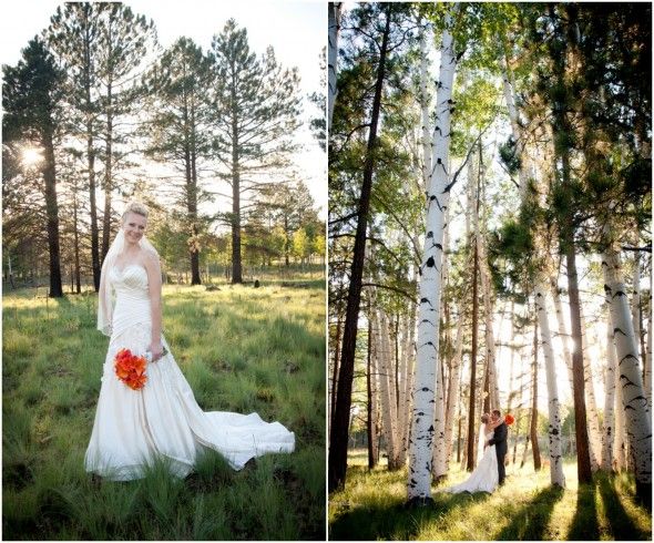 Birch Tree Wedding