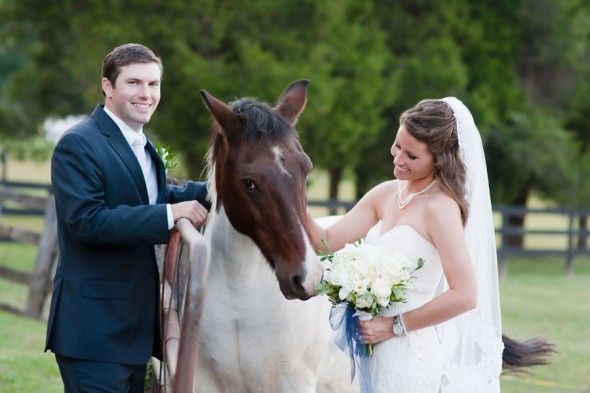 Bride & Groom With Horse