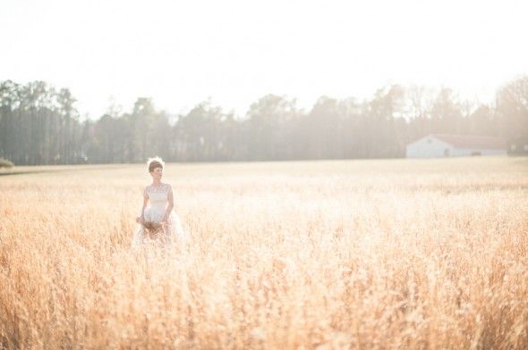 Bride In Wheat Field