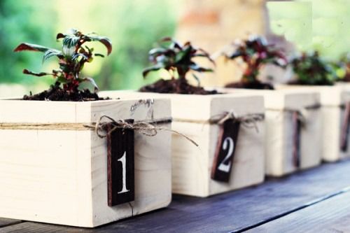 DIY Planter Box Centerpieces - Rustic Wedding Chic
