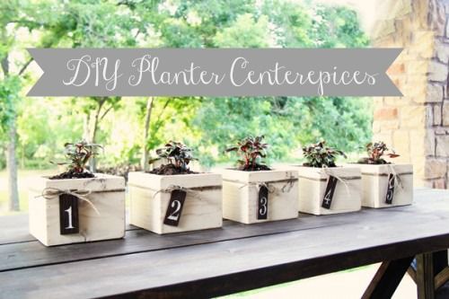 Planter Centerpiece s DIY Project
