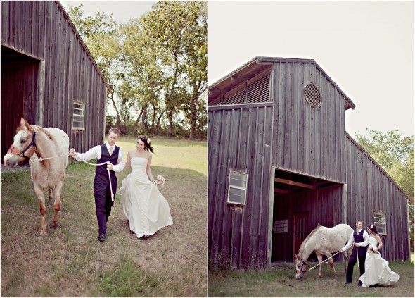 Wedding Couple With Horse