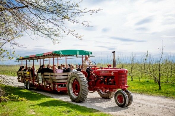Tractor For Wedding Guests