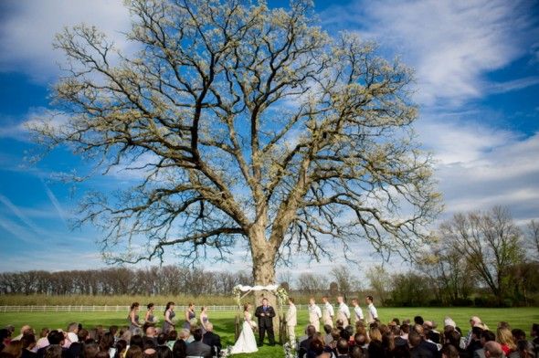 Outdoor Wedding Under Tree