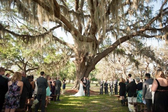 Wedding Ceremony Under A Tree