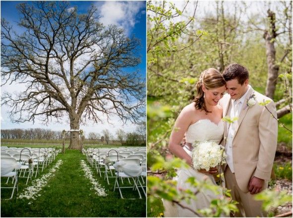 Wedding Ceremony Under Tree