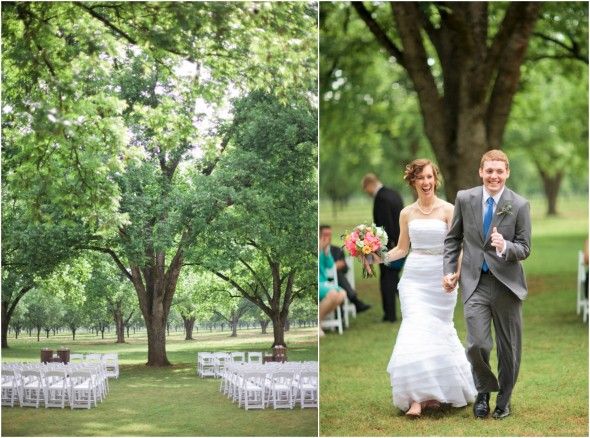 Wedding Under Tree