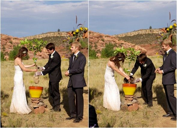 Wedding Couple Planting Tree