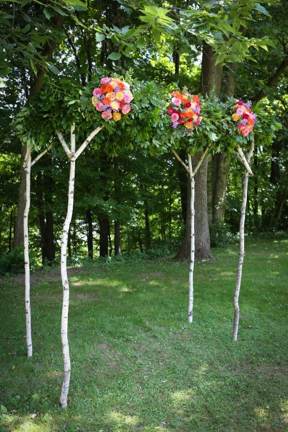Birch Arbor For Wedding