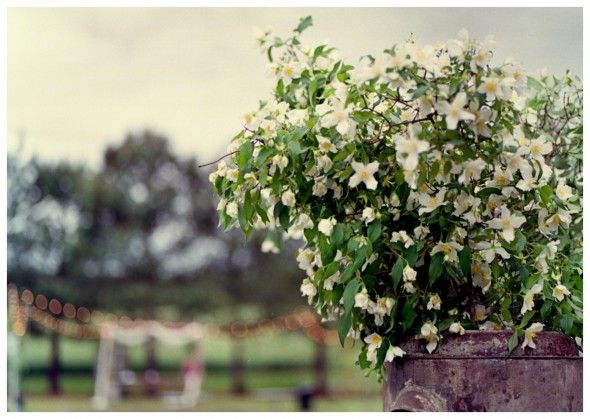 Natural Wedding Flower Arrangements