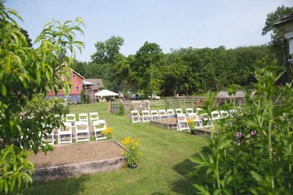 Small Backyard Wedding