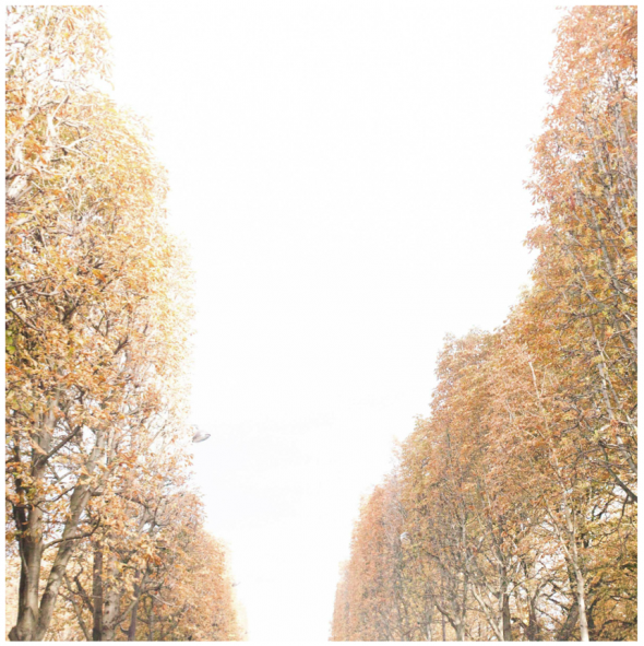Paris Wedding Inspiration : Early Autumn in Paris