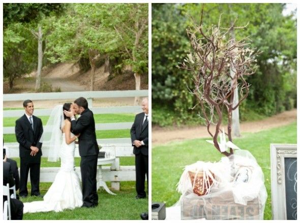 Wedding Wish Tree