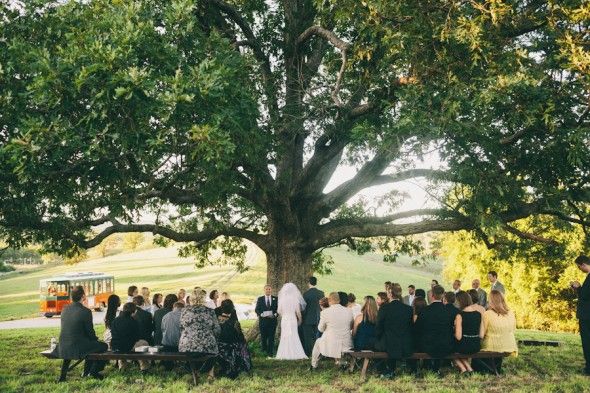 Wedding ceremony under a tree