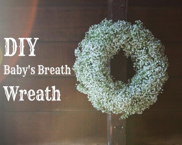 Step By Step : Baby's Breath Wreath 