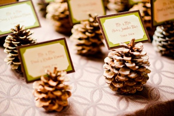 Pinecone placecards