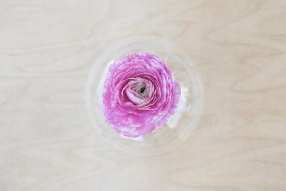 How to Make Floating flower Centerpeices