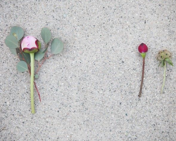 How to Make a Pink Peony Boutonniere