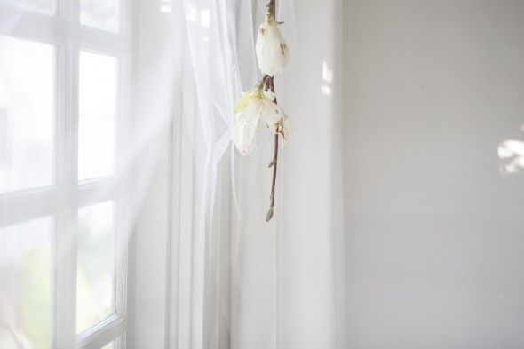 Magnolia Branch  & Tuile Wedding Backdrop Tutorial