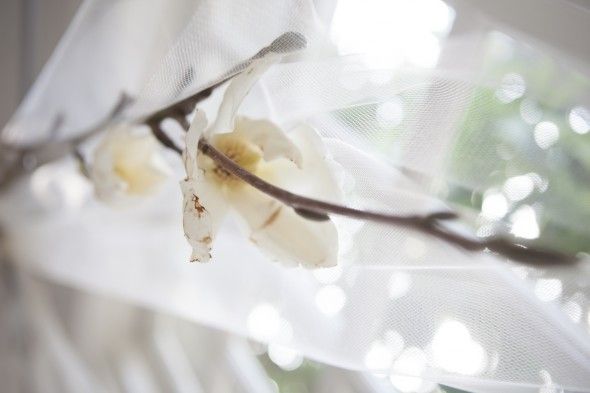 Magnolia Branch  & Tuile Wedding Backdrop Tutorial