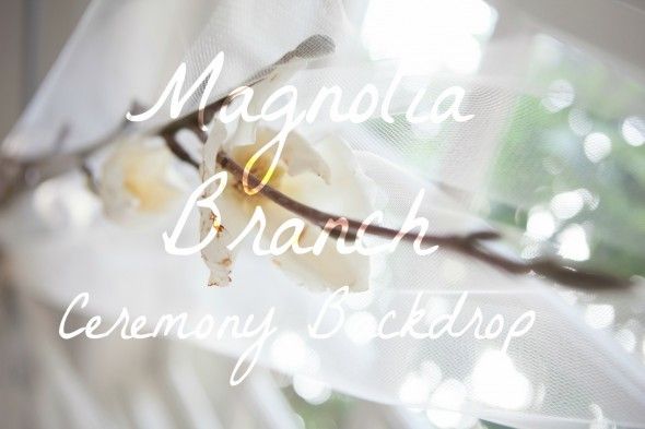 Magnolia Branch  & Tuile DIY Backdrop