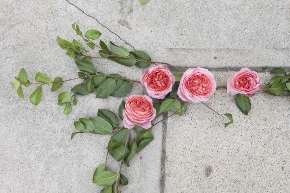 Step By Step : DIY Garden Rose Garland