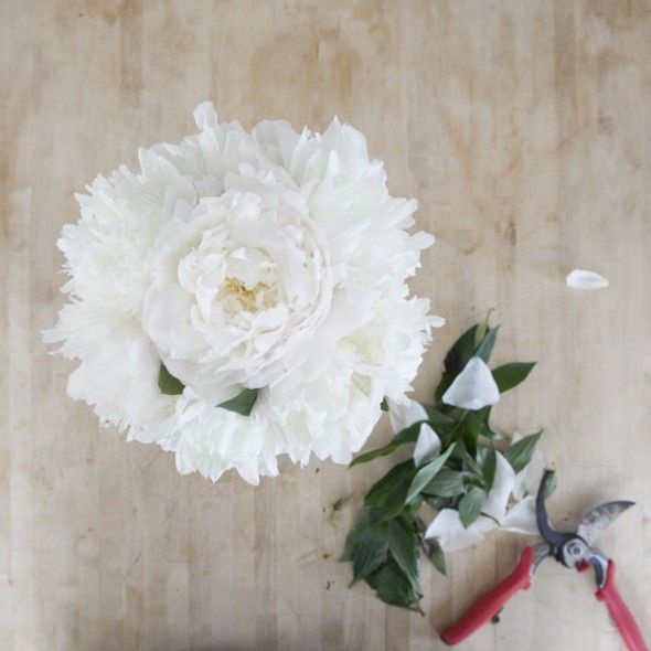 赤面牡丹の結婚式の花束チュートリアル