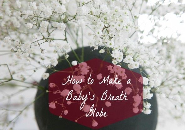 Step By Step : Baby's Breath Globe