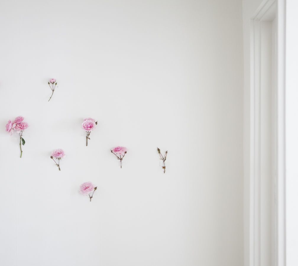 How to Create Your Own Wild Rose Wallpaper