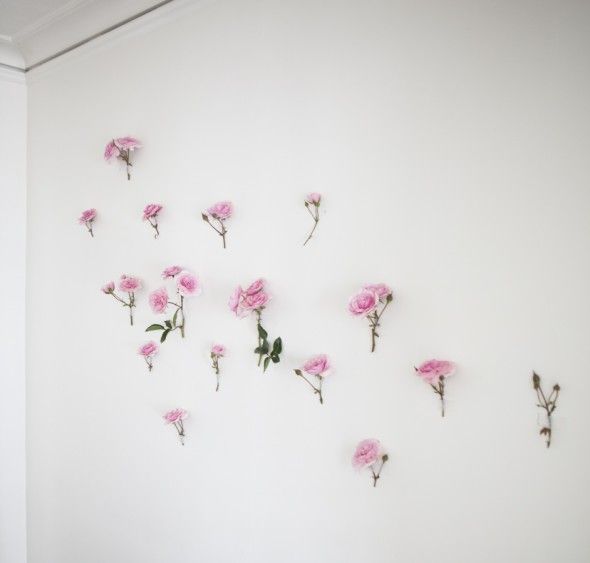 How to Create Your Own Wild Rose Wallpaper 