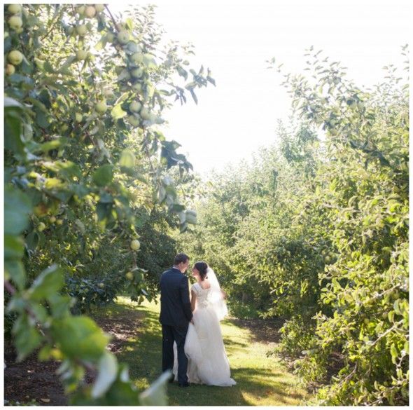 Orchard Wedding Venue