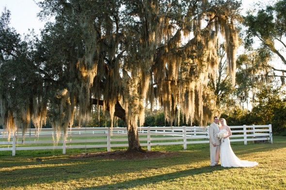 Florida wedding under the oaks