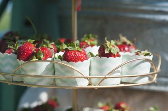 Barn Wedding strawberries in White Cups