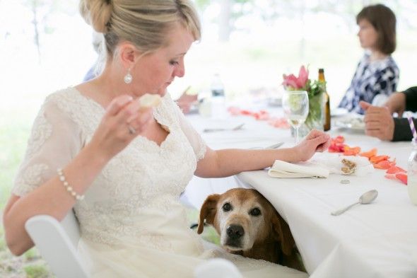 Bride and Her Dog at Country Wedding Reception