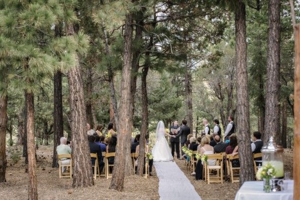 California Wedding Under the Pine Trees