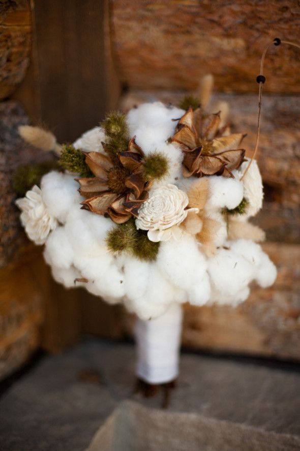 Bouquet of cotton