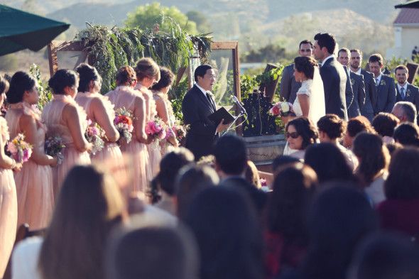 Outdoor Wedding Ceremony In Vineyard