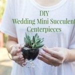 How To Make A Super Easy DIY MIni Succulent Centerpiece
