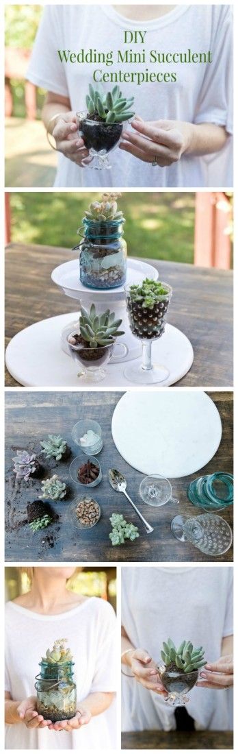 How To Make Your Own Wedding Succulent Centerpieces