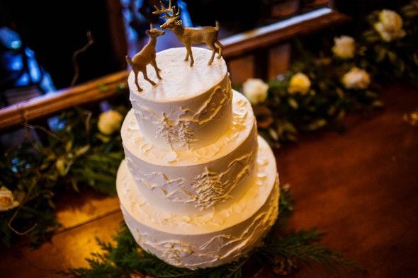 Winter Rustic Wedding Cake